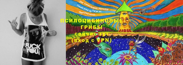 Альфа ПВП Волоколамск